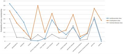 Effects of multimorbidity patterns and socioeconomic status on catastrophic health expenditure of widowed older adults in China